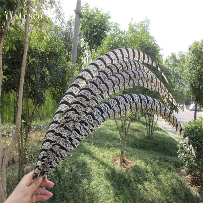 

100Pcs/Lot 32-36inch 80-90cm Natural Lady Amherst Pheasant Tail Feathers Wedding Decorations Natural Pheasant Feathers plume