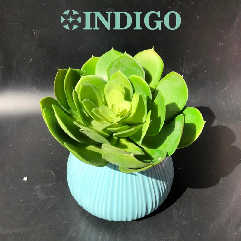 Индиго-большая пустыня лотоса искусственного суккулент Пластик цветок зеленый украшения завод зеленый завод фон