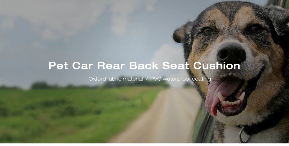 20170612103257_98541