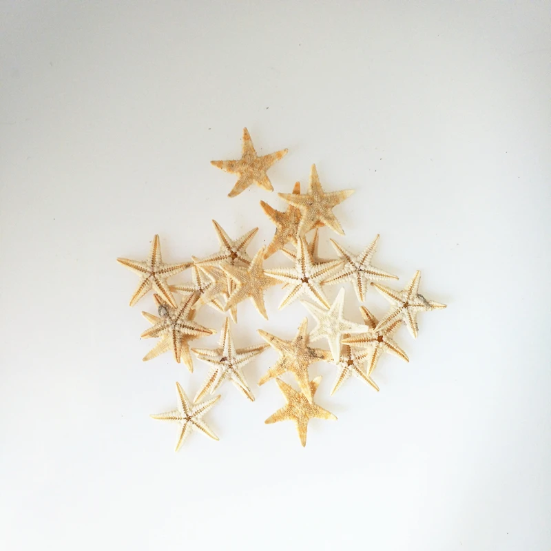 HappyKiss 20 шт. мини-Морская звезда Ремесло украшения природные морские звезды DIY пляжный домик Свадебный декор Морская звезда раковины