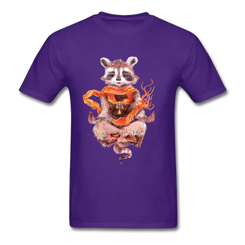 Raccoon meditates (female)_purple