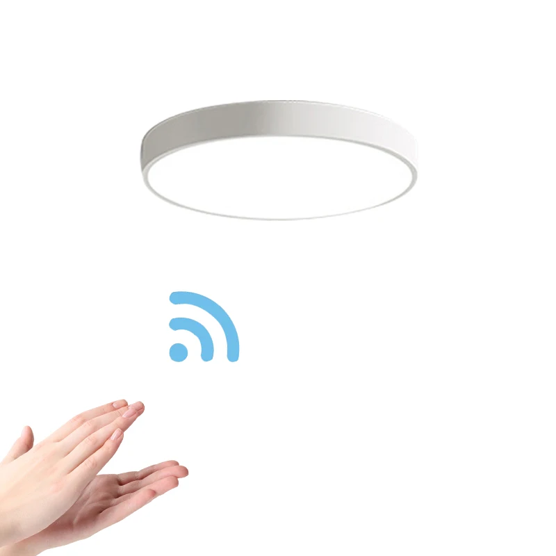 

Motion Sensor / Sounds Control induction led ceiling lights Acrylic Accessories Restaurant Hall Stairs Balcony Ceiling Lamps