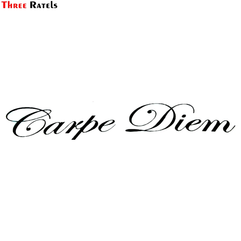 

Three Ratels TZ-425 10.1*60cm 4.2*25cm 1-5 pieces Carpe Diem car stickers and decals auto car sticker