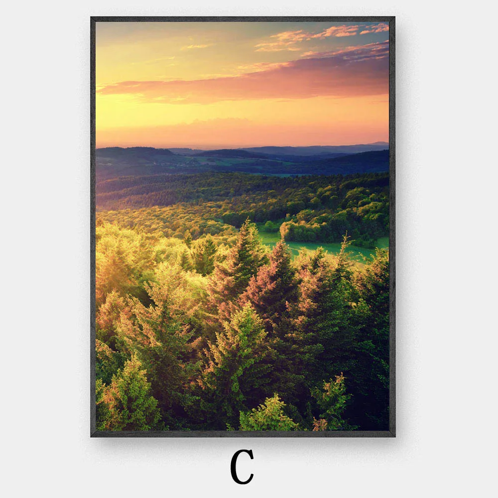 C