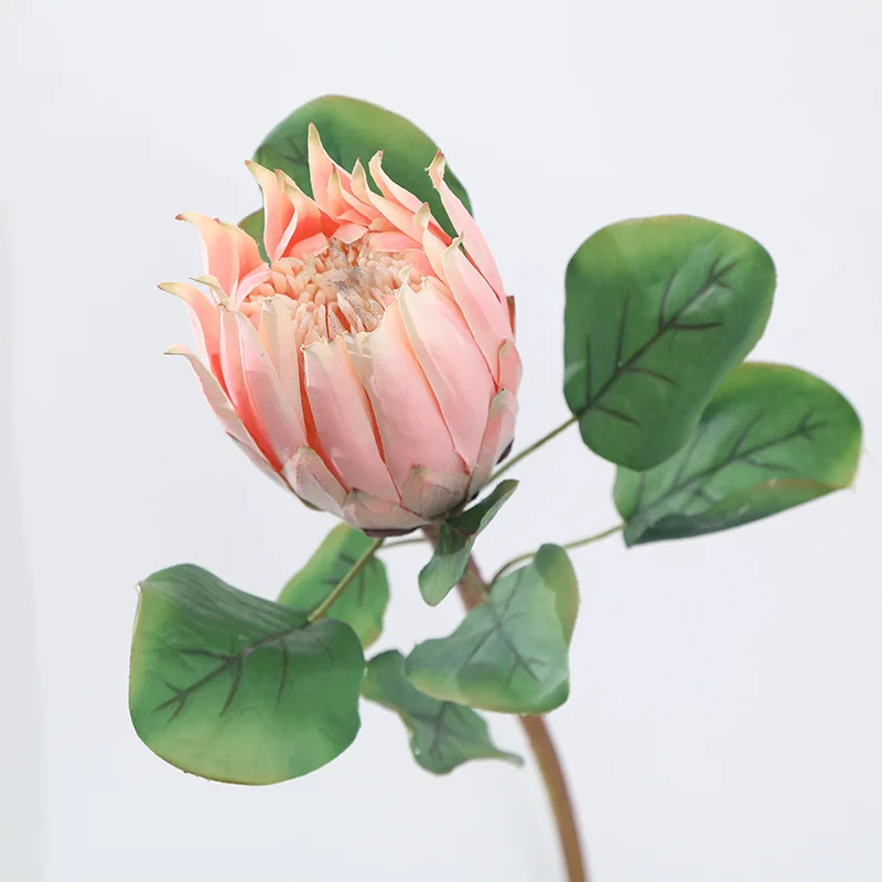 

Artificial Flower Protea Large Wedding Photography Home Decoration Plant Flowers Dark Red, Pink, Green
