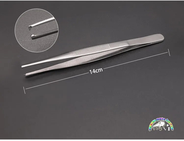 140 мм туалетный Пинцет из нержавеющей стали, ветеринарные инструменты, хирургические инструменты для животных - Цвет: stainless steel