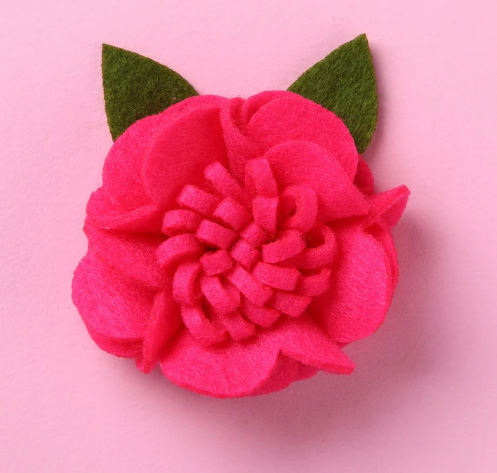 10863540727_1463196279