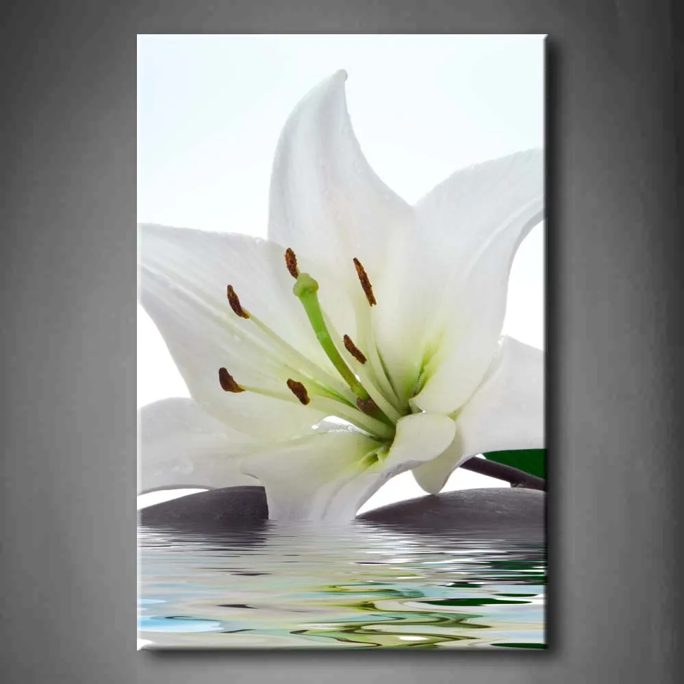 

Framed Wall Art Pictures Lily Stone Water Canvas Print Artwork Flower Modern Posters With Wooden Frames For Living Room