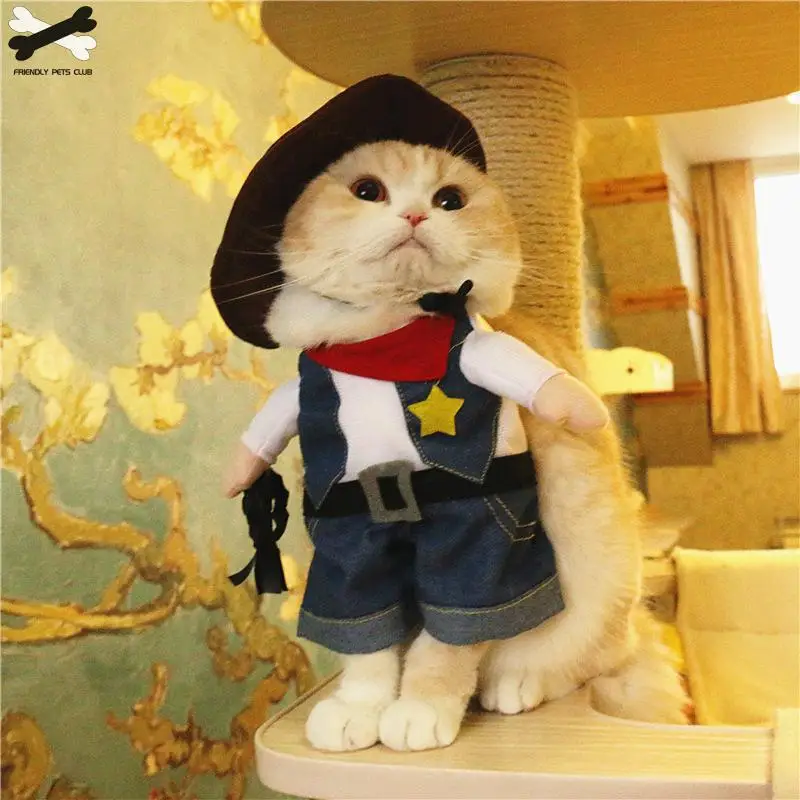 funny-cat-clothes-pirate-suit-clothes-for-cat-costume-clothing-corsair