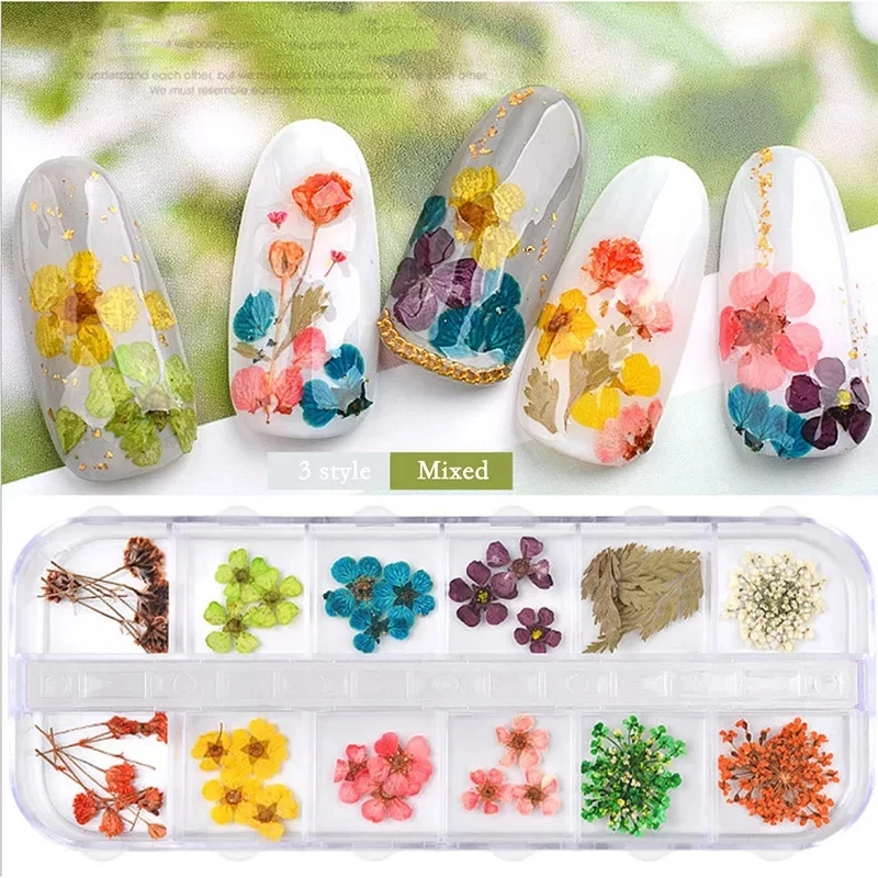 

1 box 3D Nail Art Dried Flower Decoration Natural Daisy Gypsophila Preserved Flower Sticker DIY Manicure Nail Art Decorations