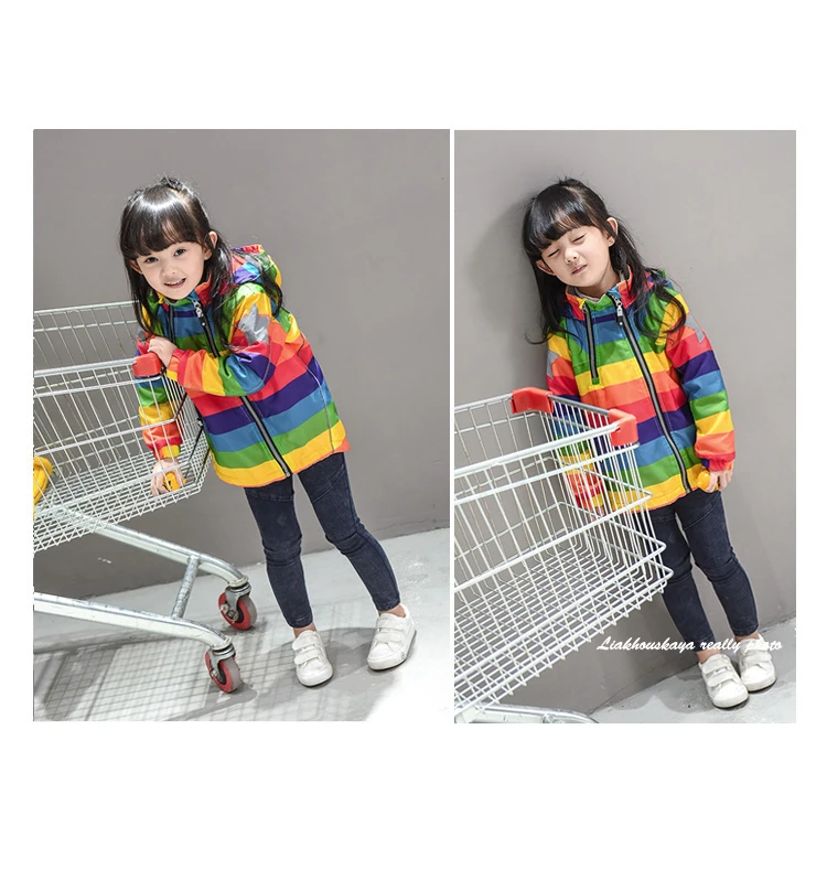 1011--561320204975_detail_6