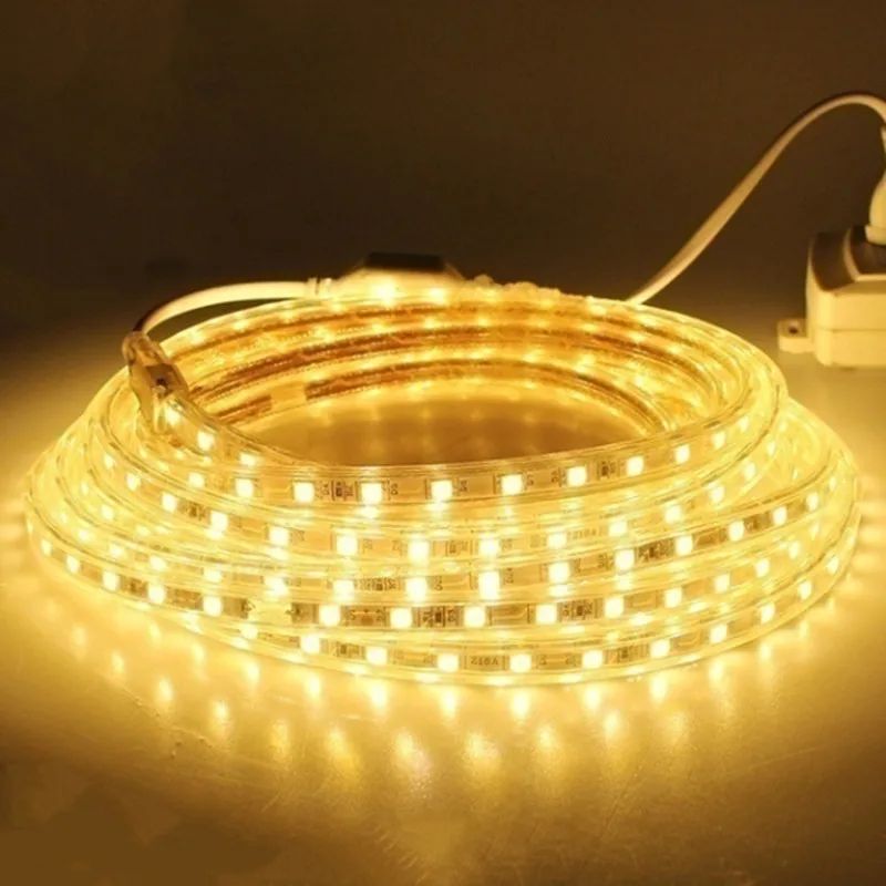 SMD 5050 AC 220V Светодиодная лента гибкий светильник 2 м/3 м/4 м/5 м/6 м/7 м + разъем питания 60