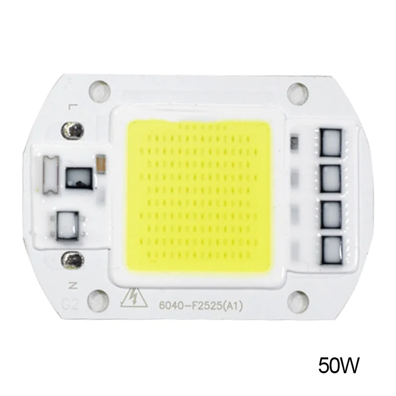 

LED Bulb Chip 20W 30W 50W LED Chip 110V 220V Input Light Beads Smart IC Fit For DIY LED Flood Light White Warm White