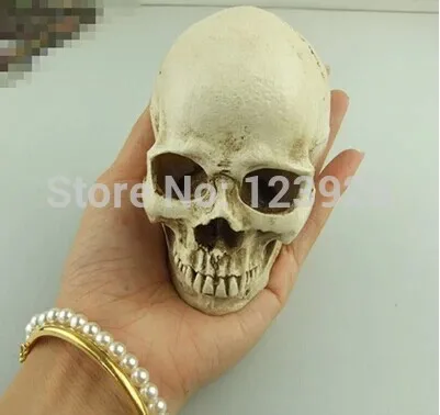 Человеческий череп 9x7x8 см, высококачественный смоляный, специализирующийся на производстве черепа, должен 1:1 модель медицинского скелета