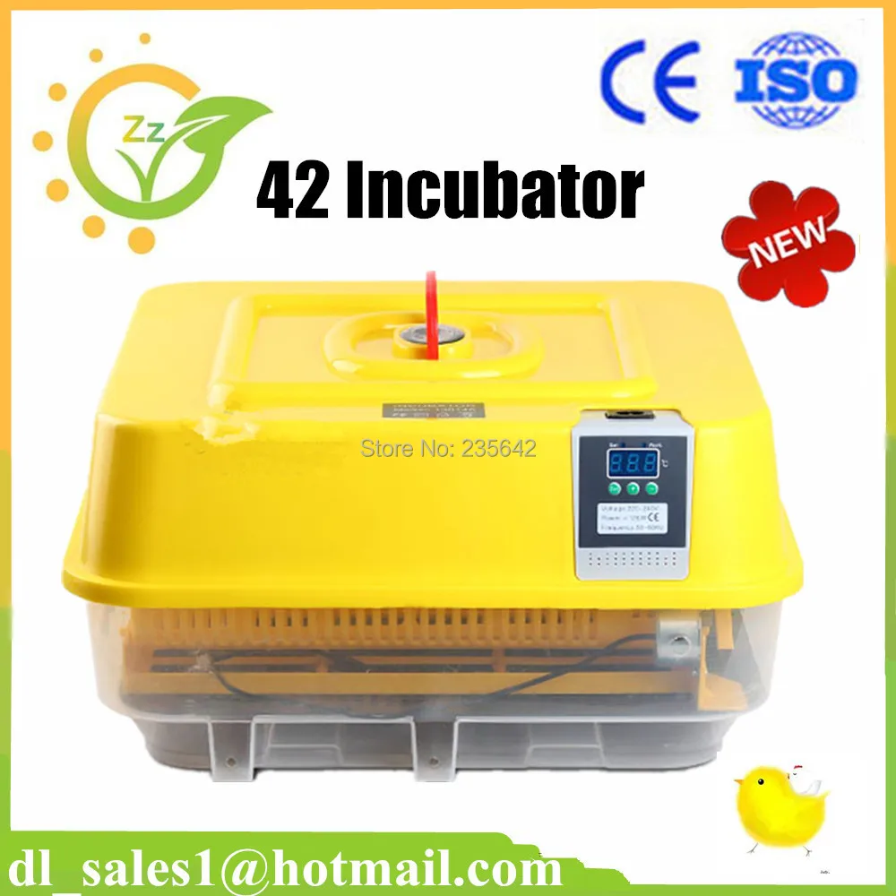 Chicken egg incubator price list