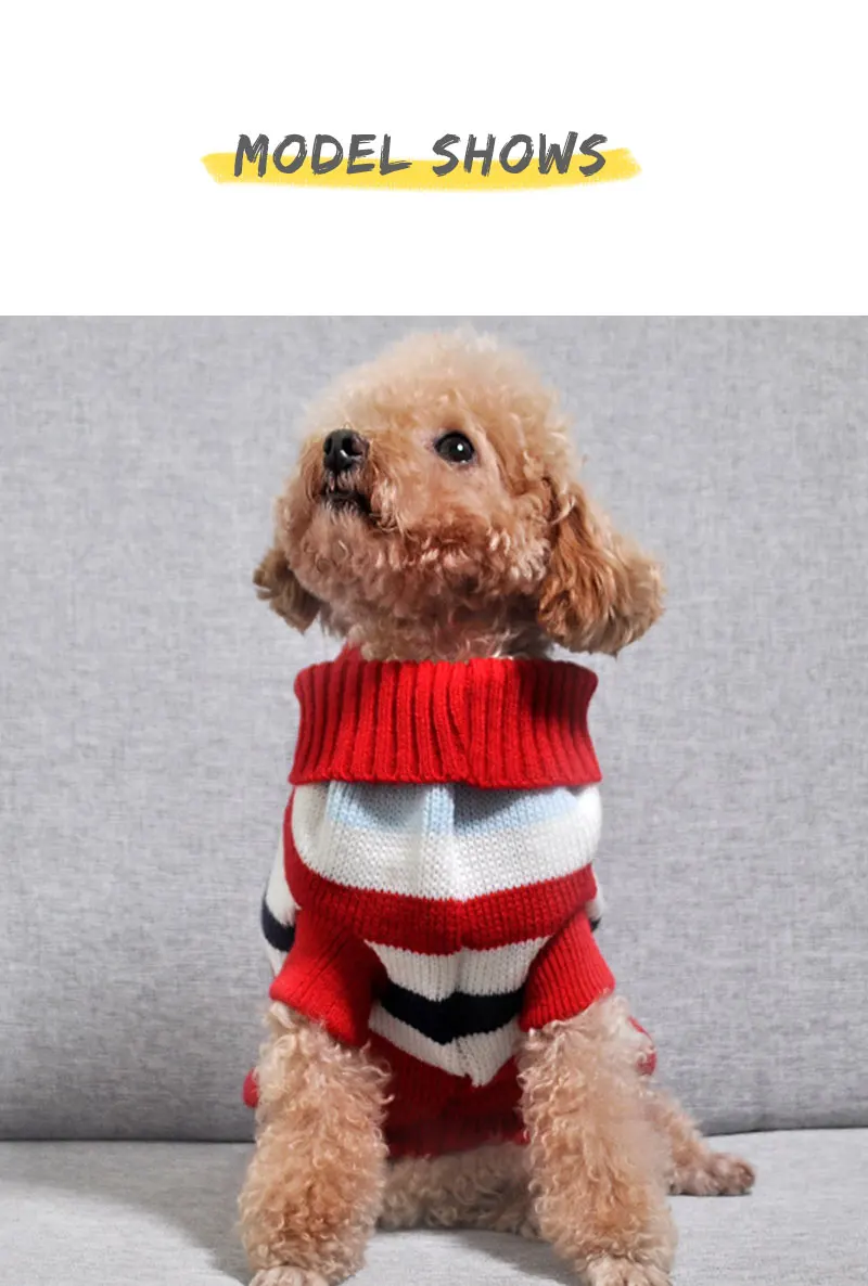 coat medium dog