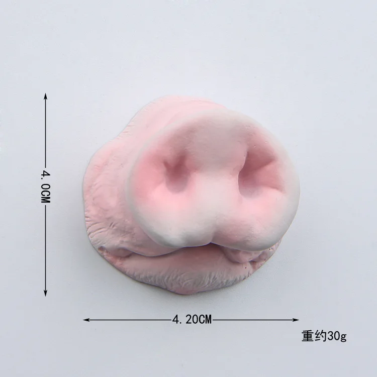 100 Gambar Animasi Hidung Terbaik 100 Gambar Animasi Hidung Terbaik