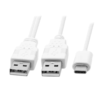 

Zihan USB 3.1 Type C USB-C to Dual A Male Extra Power Data Y Cable for Cell Phone & Hard Disk