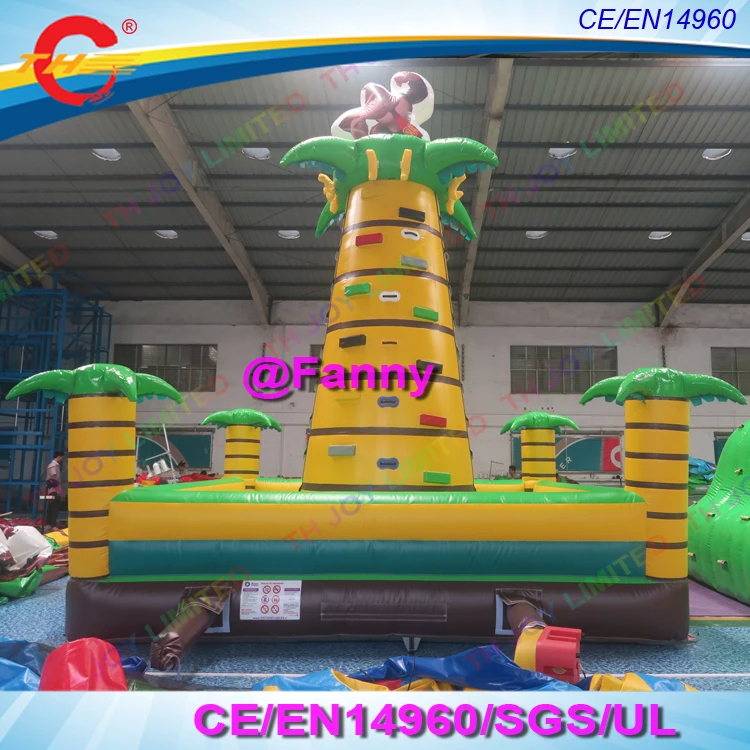 climbing wall 6