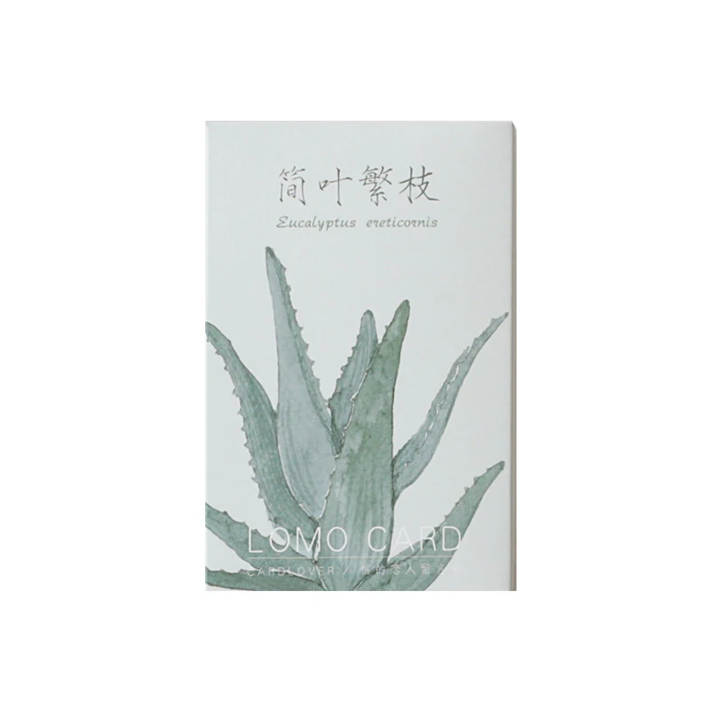 

28 pcs/lot creative cute Jane Ye Fanzhi Card Postcard Birthday greeting card Letter Envelope Gift Card Set Message Card