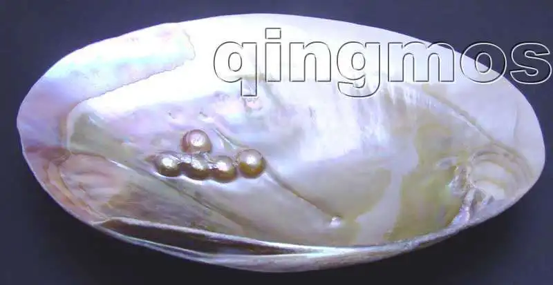 

SALE 11*15CM Pink Natural CLAM Oyster hand burnish pearl Shell Smooth-pen225 Wholesale/retail Free shipping