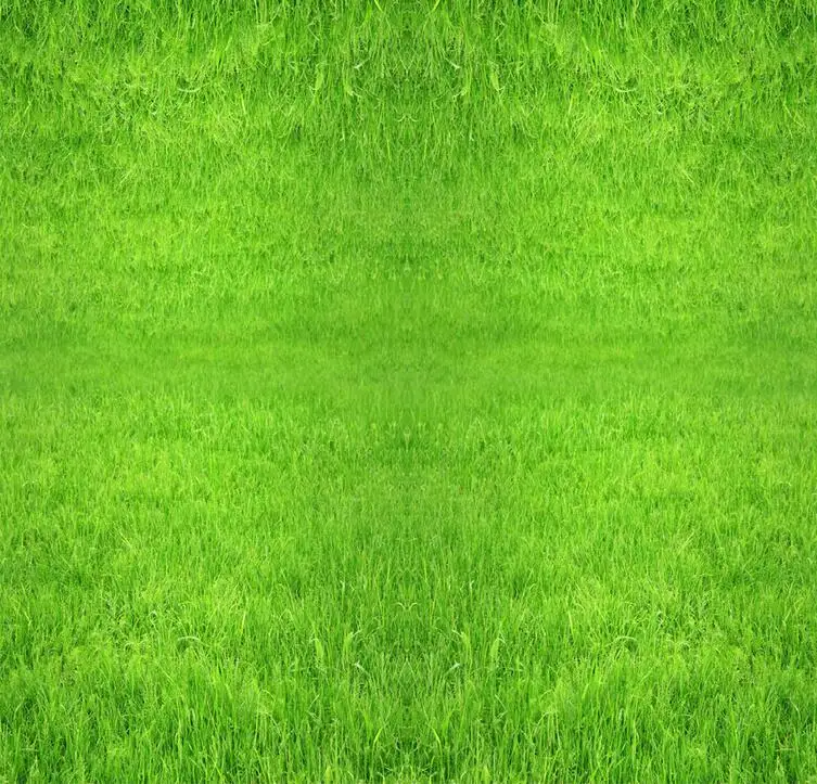 3D пользовательское зеленое половое покрытие с изображением травы картина фото обои для стен домашний декор Фреска