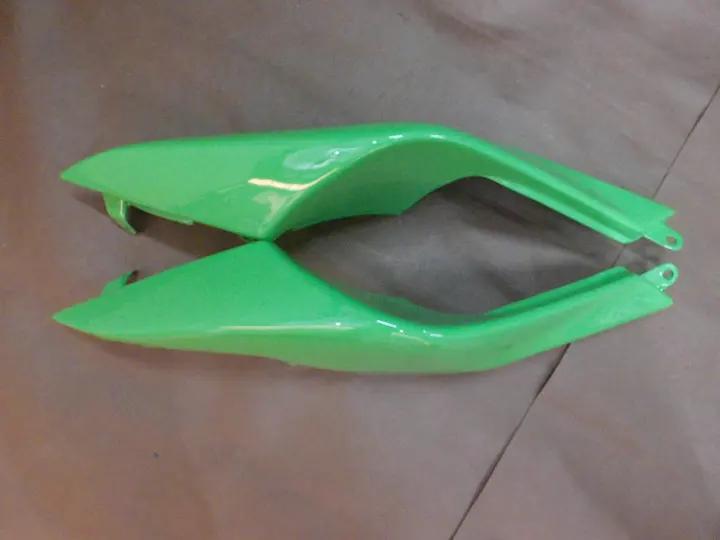 DSCI0172