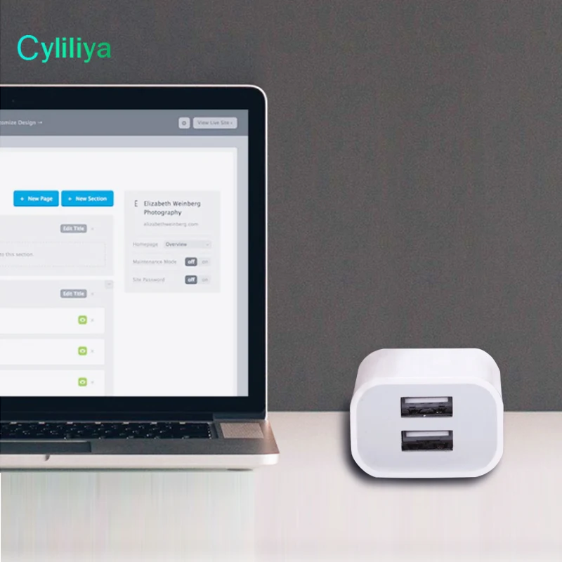 Cyliliya 10 шт. белый двойной интерфейс 5 в 2A AU вилка USB настенное зарядное устройство Блок питания для путешествий универсальный для смартфона