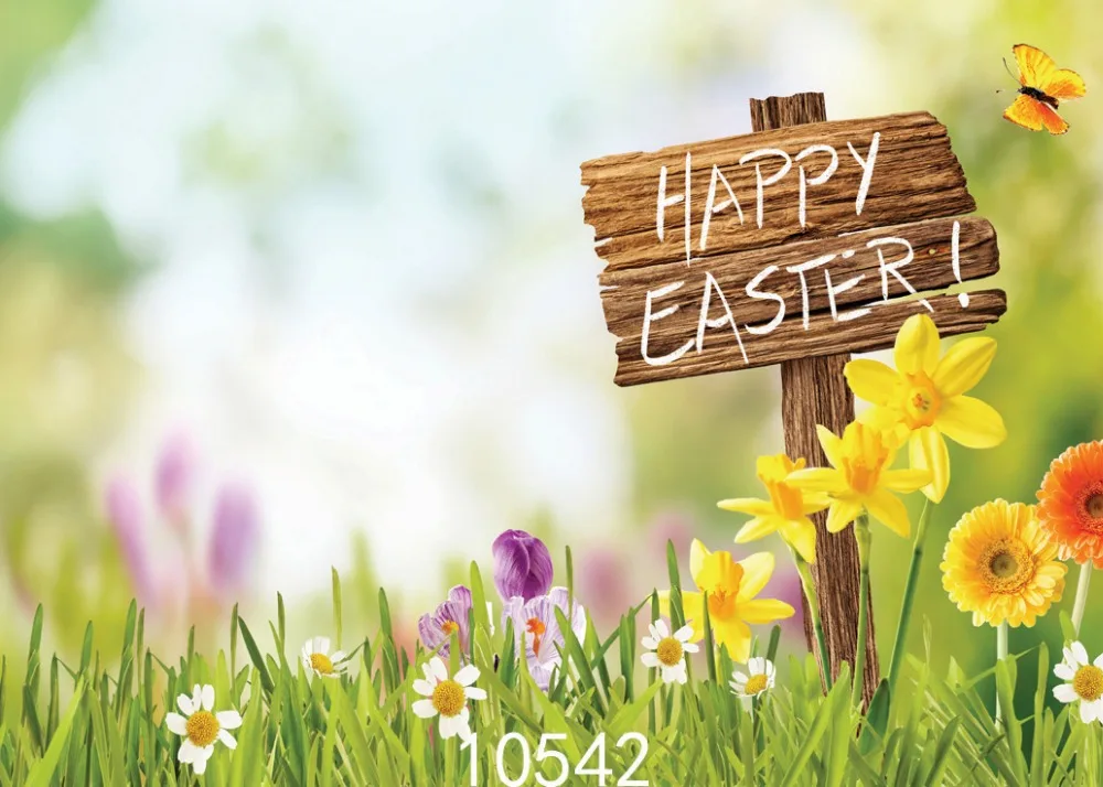 

SHANNY Vinyl Custom Photography Backdrops Prop Easter day Theme Digital Photo Studio Background 10542