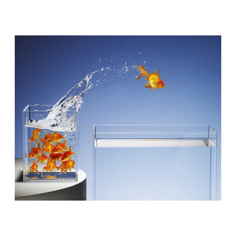 Diamond mosaic goldfish jump out of the fish tank diamond embroidery pattern animal rhinestone diy diamond painting WHH