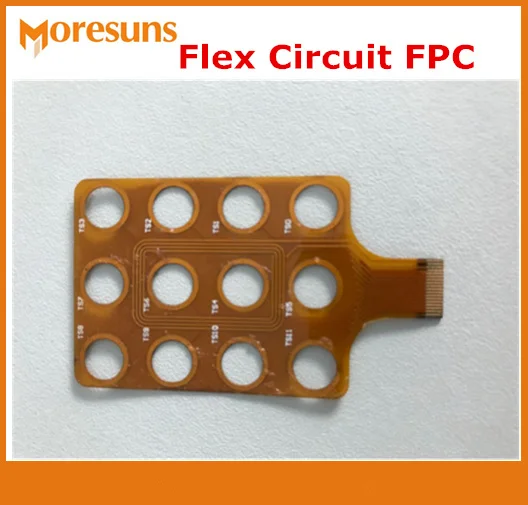 FPC1_
