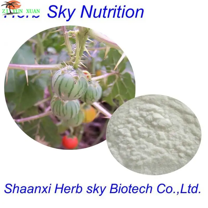 

99% Scopolamine Belladonna Extract, Belladonna P.E.