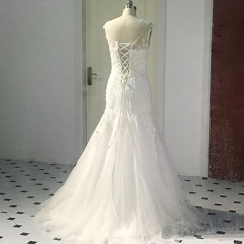 RSW1454----