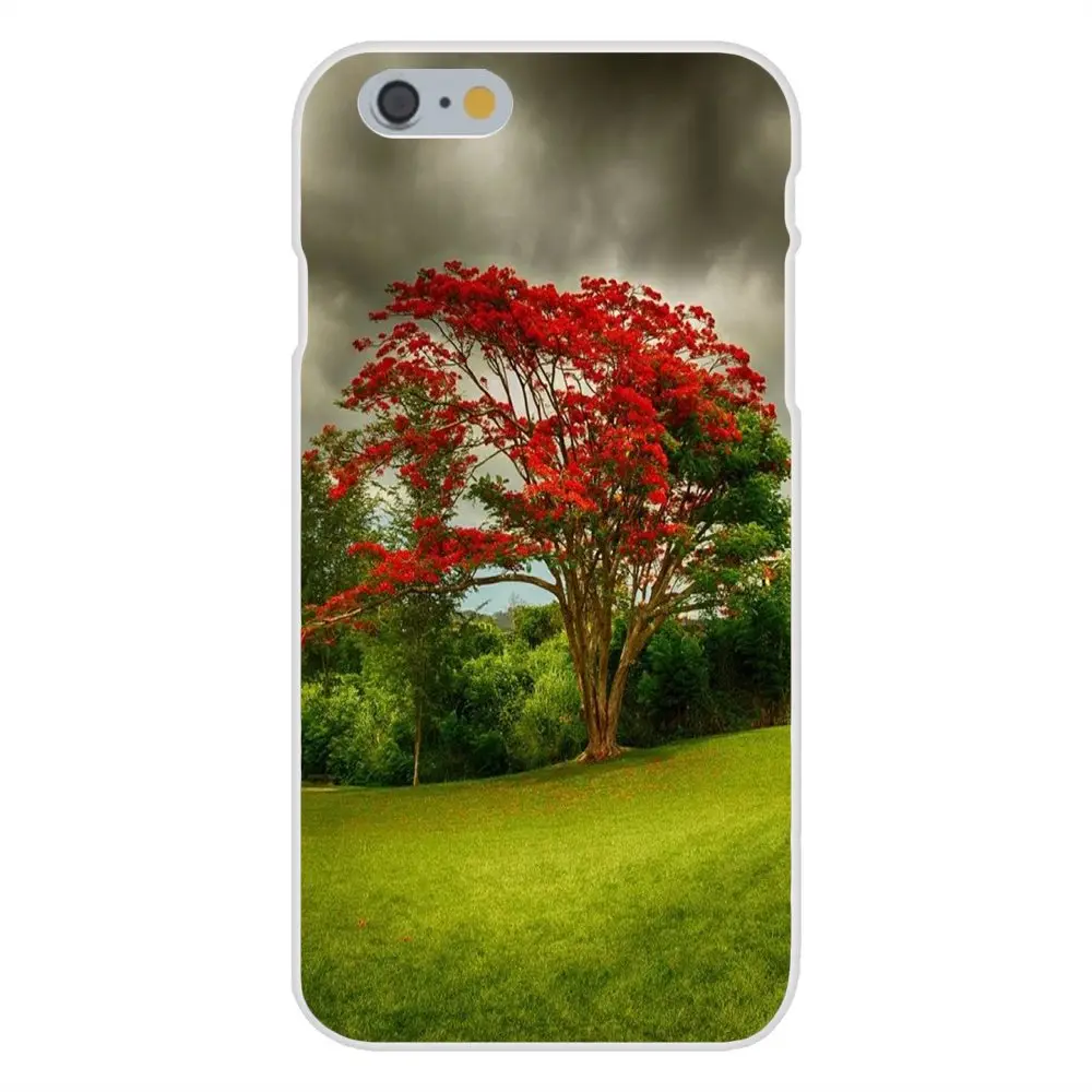 20140818160004_Muf3v.thumb.700_0