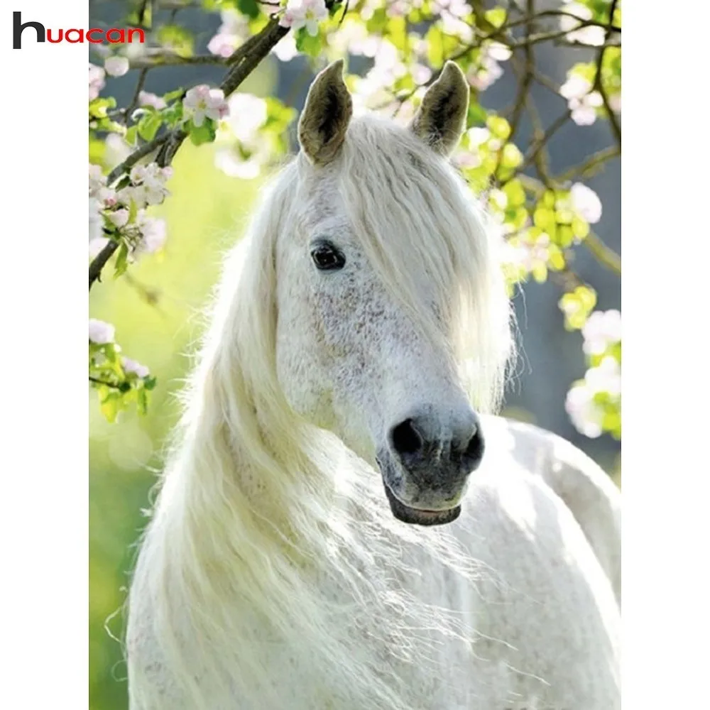 

HUACAN 5D Diamond Painting White Horse Full Square Drill Diamond Embroidery Animal Diamond Mosaic Sets Picture Of Rhinestones