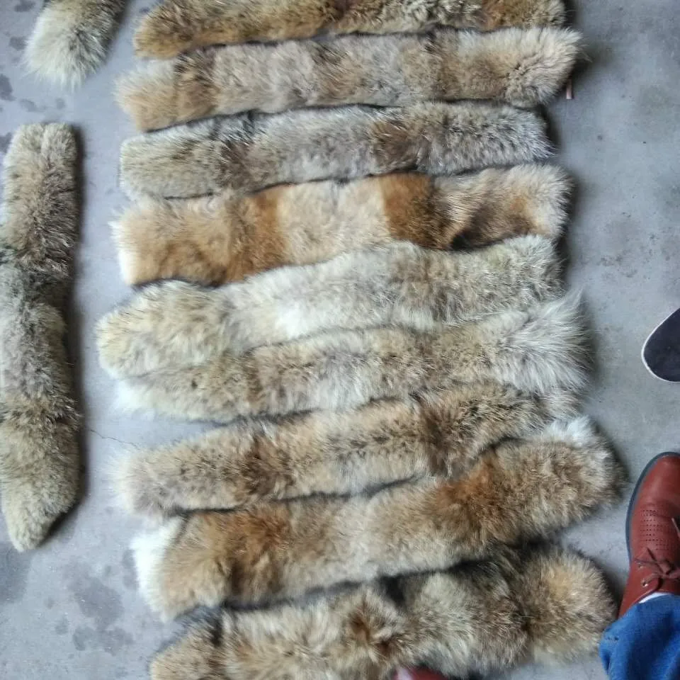 Воротник из меха Койота 55*15 см/полоска натурального меха|collar fur|collar collarcollar natural |