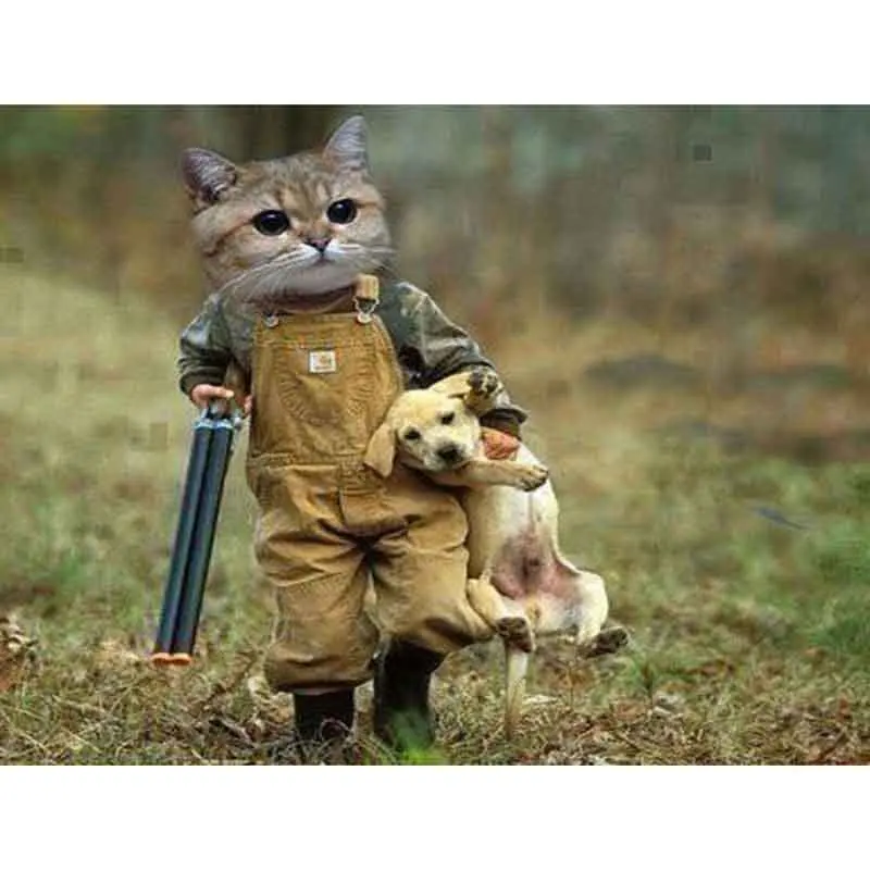 5D DIY Diamond Painting Cross Stitch Full Square/Round Drill &quotCat Hunter&quot 3D Embroidery Mosaic Rhinestone Decor Gift | Дом и сад
