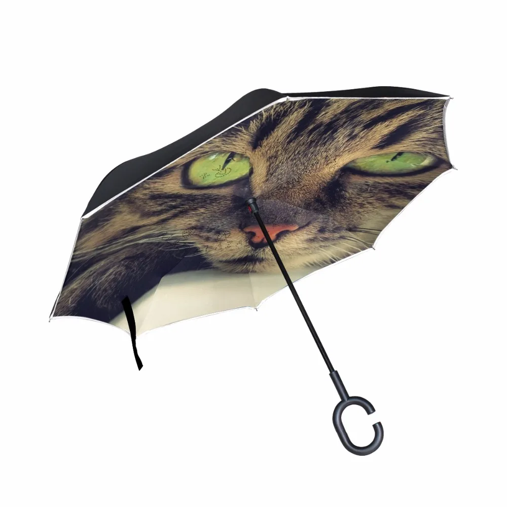 g4383144p183c217s313_0