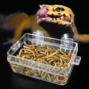 

Acrylic Reptiles Food Water Feeding Bowl Insects Spider Anti Escape Box Breeding Box Dish Dispenser Wall Sucker Reptile Feeder