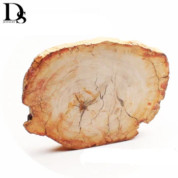 

DS Natural Tree Fossils original stone section Woodstone Coaster Quartz Crystal Cup Mat Mineral Stone Specimen Home Decoration