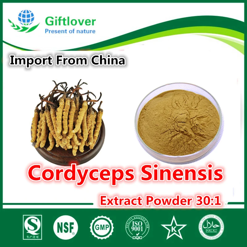 

Anti-fatigue,Enhance Immunity,Best Natural Cordyceps Sinensis Extract Powder 30:1,Top Grade Chinese Nourishing Herbs,Aweto