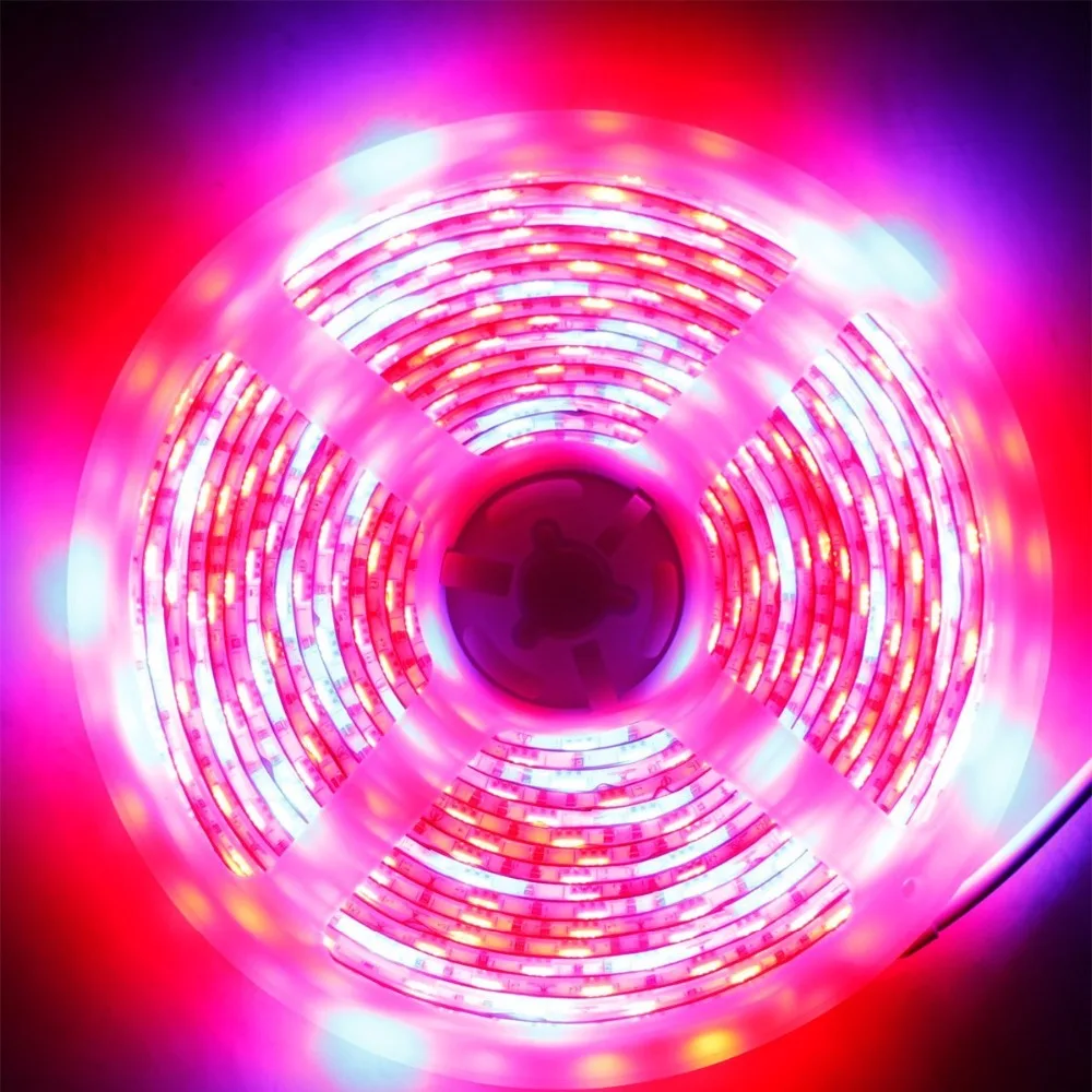 HTB1HrYLX6gy_uJjSZLeq6yPlFXan