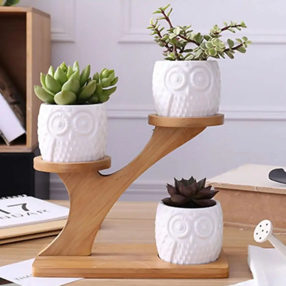 

1 Set Simple White Succulent Plant Flower Pot Holder Ceramic Owl Pattern Pot Treetop Shaped Bamboo Shelf Pot Planter Set
