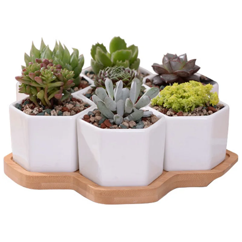 

Set Of Decorative Geometry Hexagon White Ceramic Succulent Plant Pot Porcelain Flower Pot Home Decor(7 Pots+1 Tray)