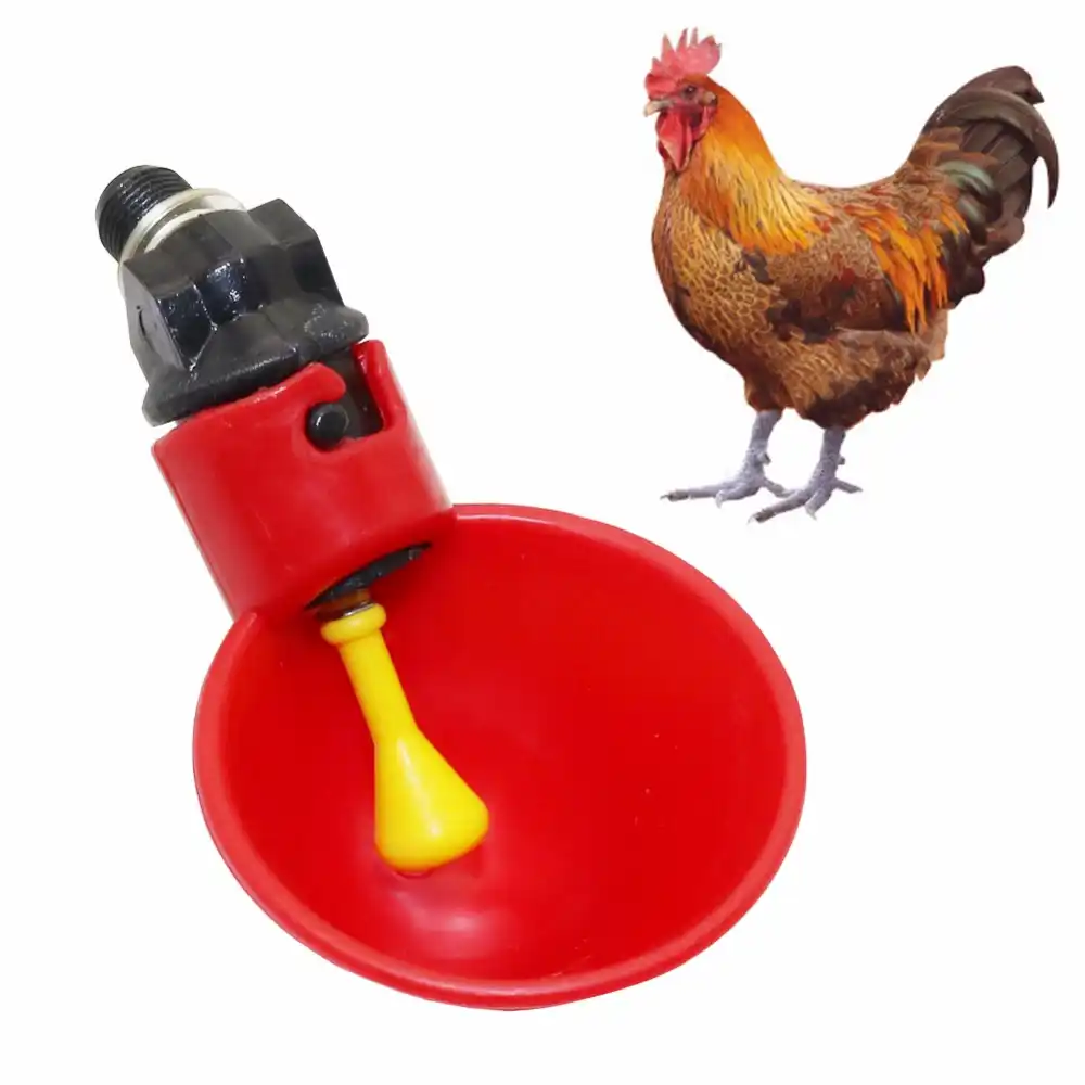20pcs//set Water Bowls Plastic Automatic Feeder Drinking Cup For Chicken Quails