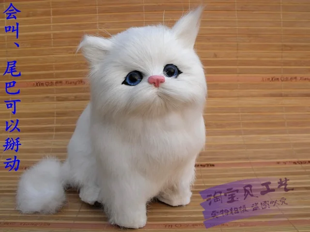 jouet chat miaou