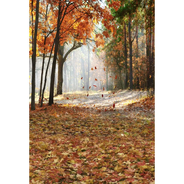 

Vinyl photography backdrops Autumn forest backgrounds smoke leaves photographic background fond studio photo photocall