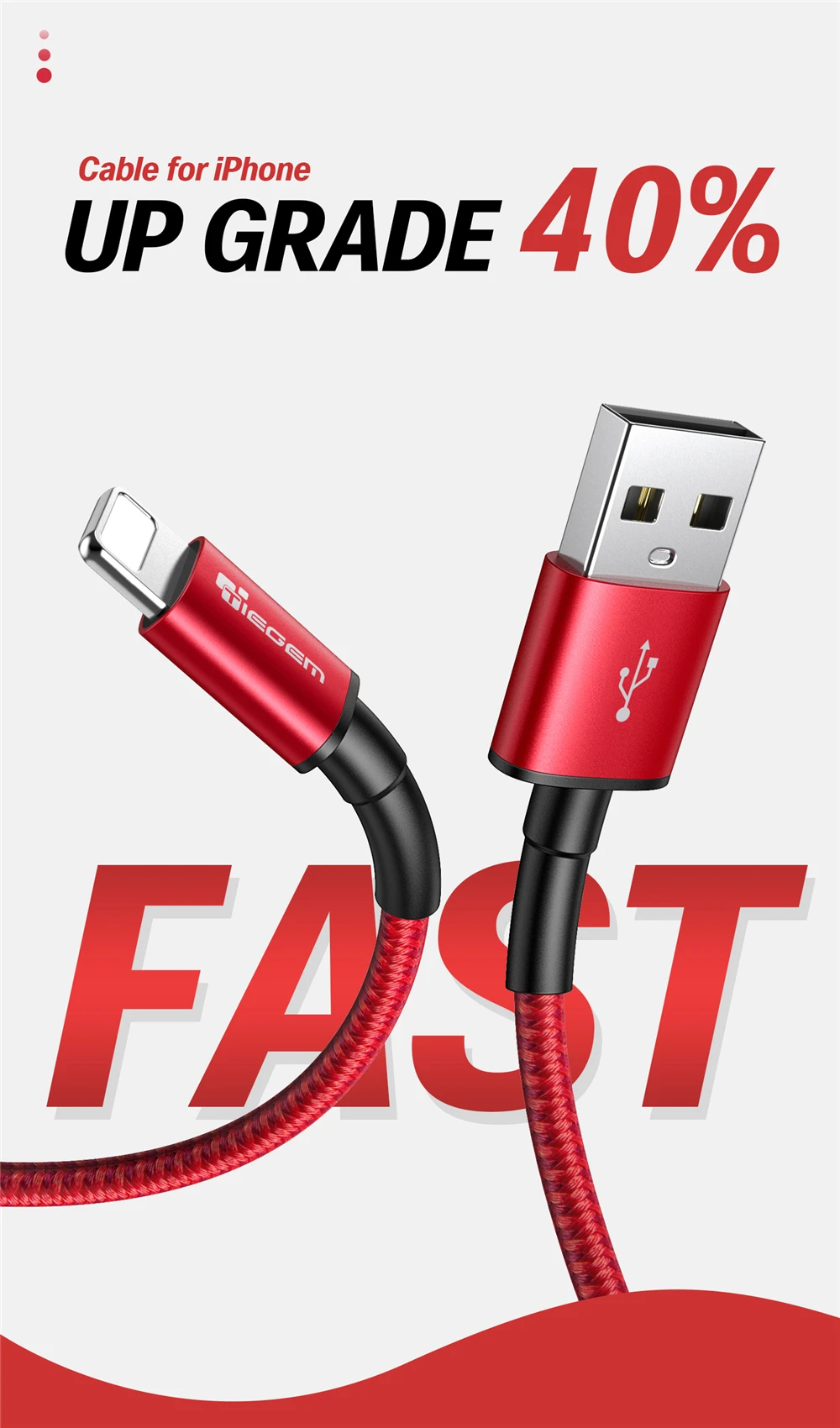 iPhone cable 110507