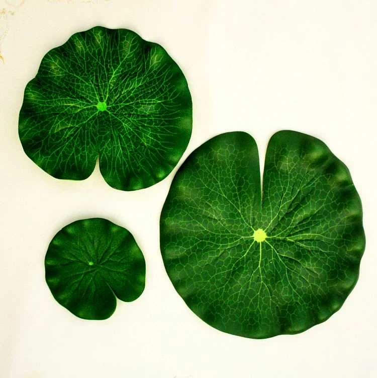 мята листик. круглые листья. мята вид сверху. листья мяты вид сверху. зеленые листья сверху.