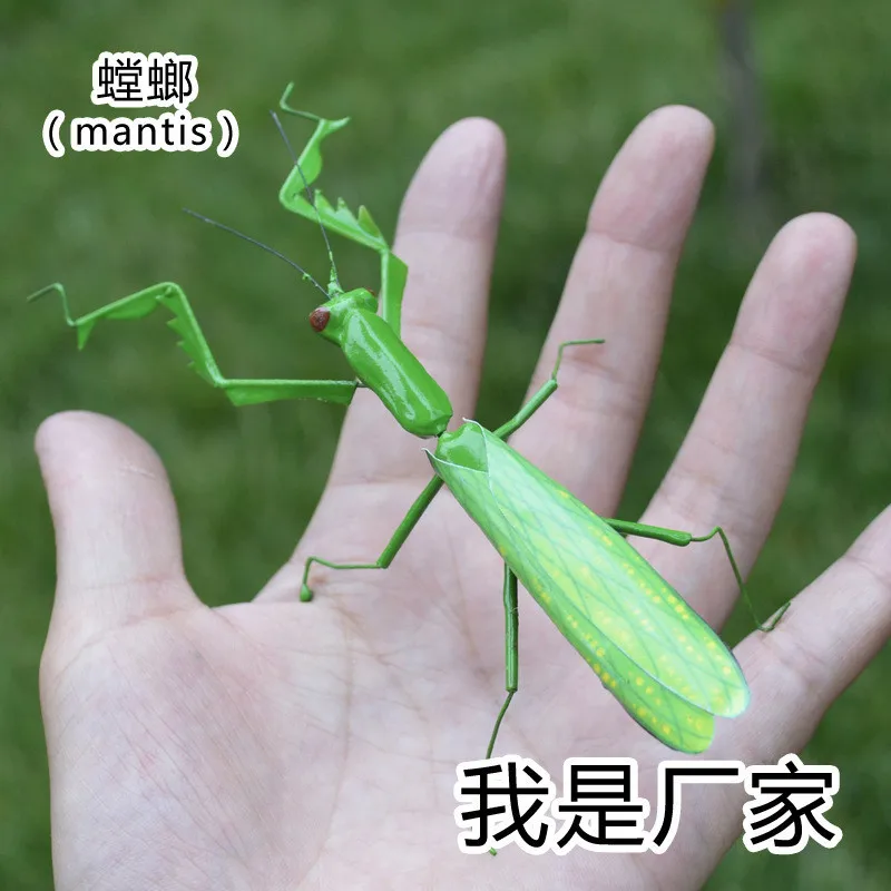 Material de Argila da Arte Pces Lote Popular Inseto Artificial Modelo Artesanato Artesanal Figura Sólida Mantis Mm-012 50 - um 1 High Quality Brinquedos e hobbies